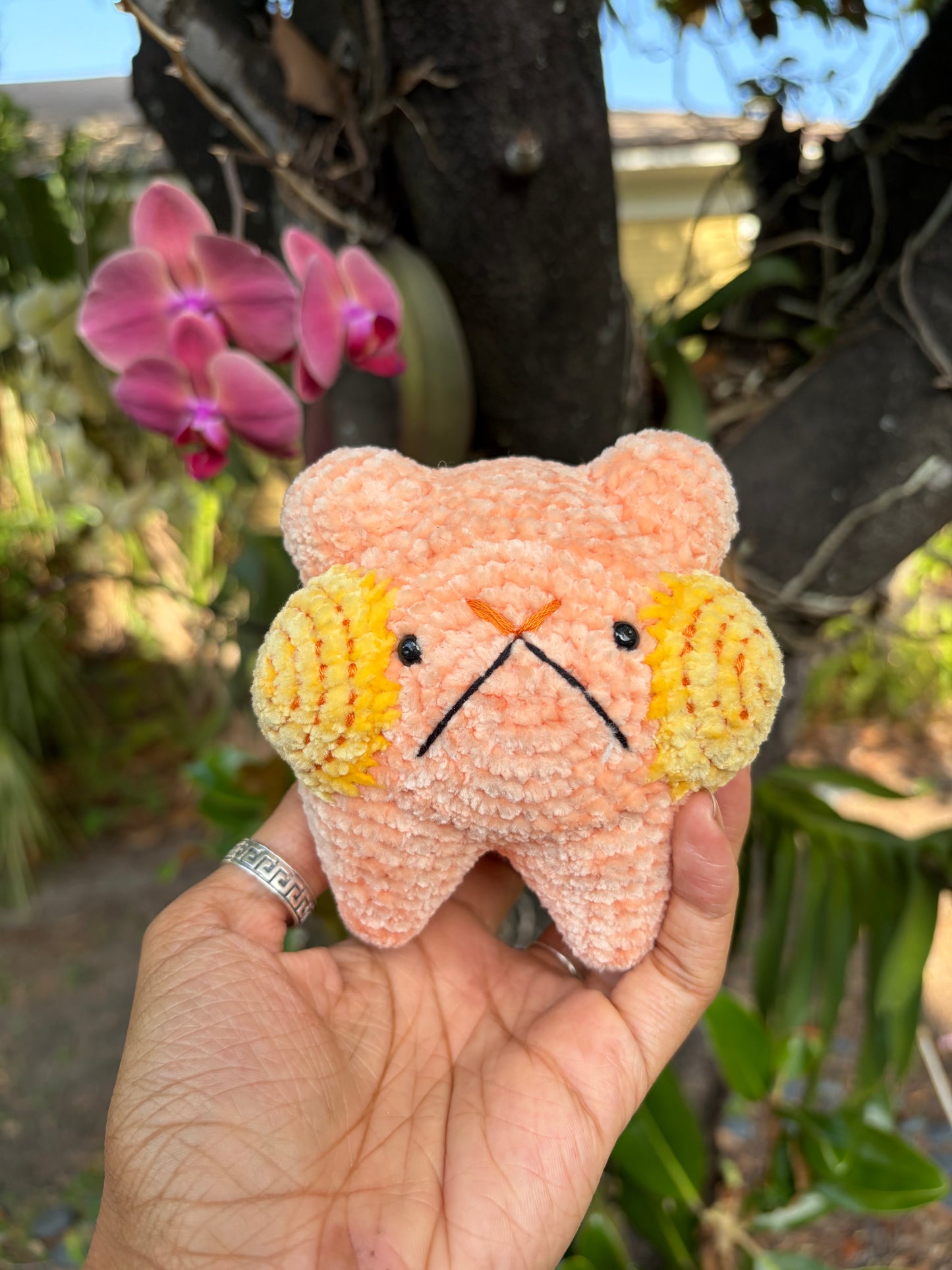 Cantaloupe Baba🍈