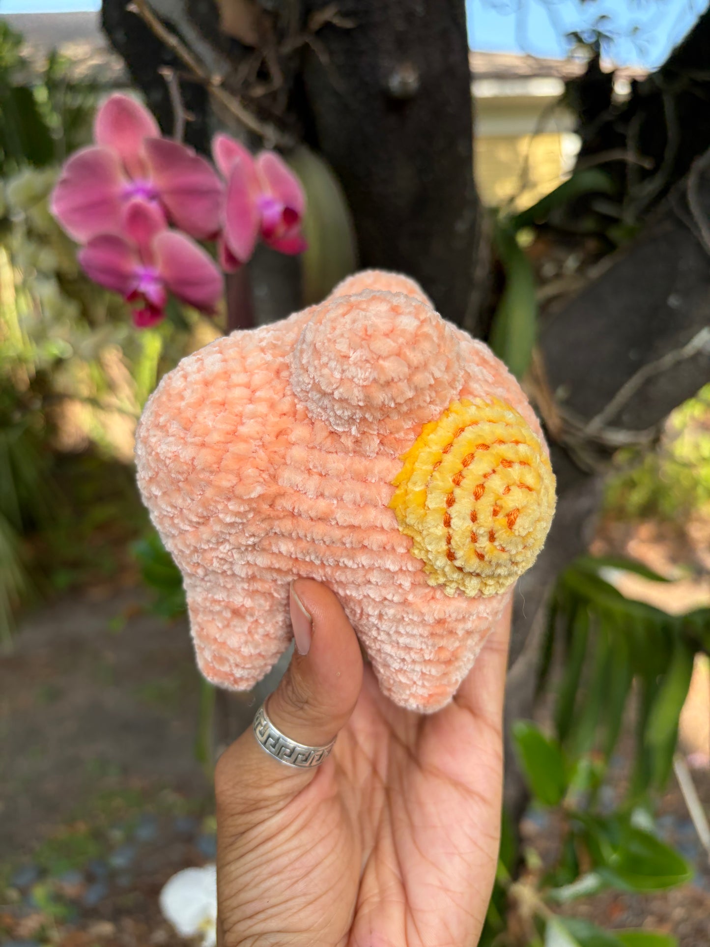 Cantaloupe Baba🍈