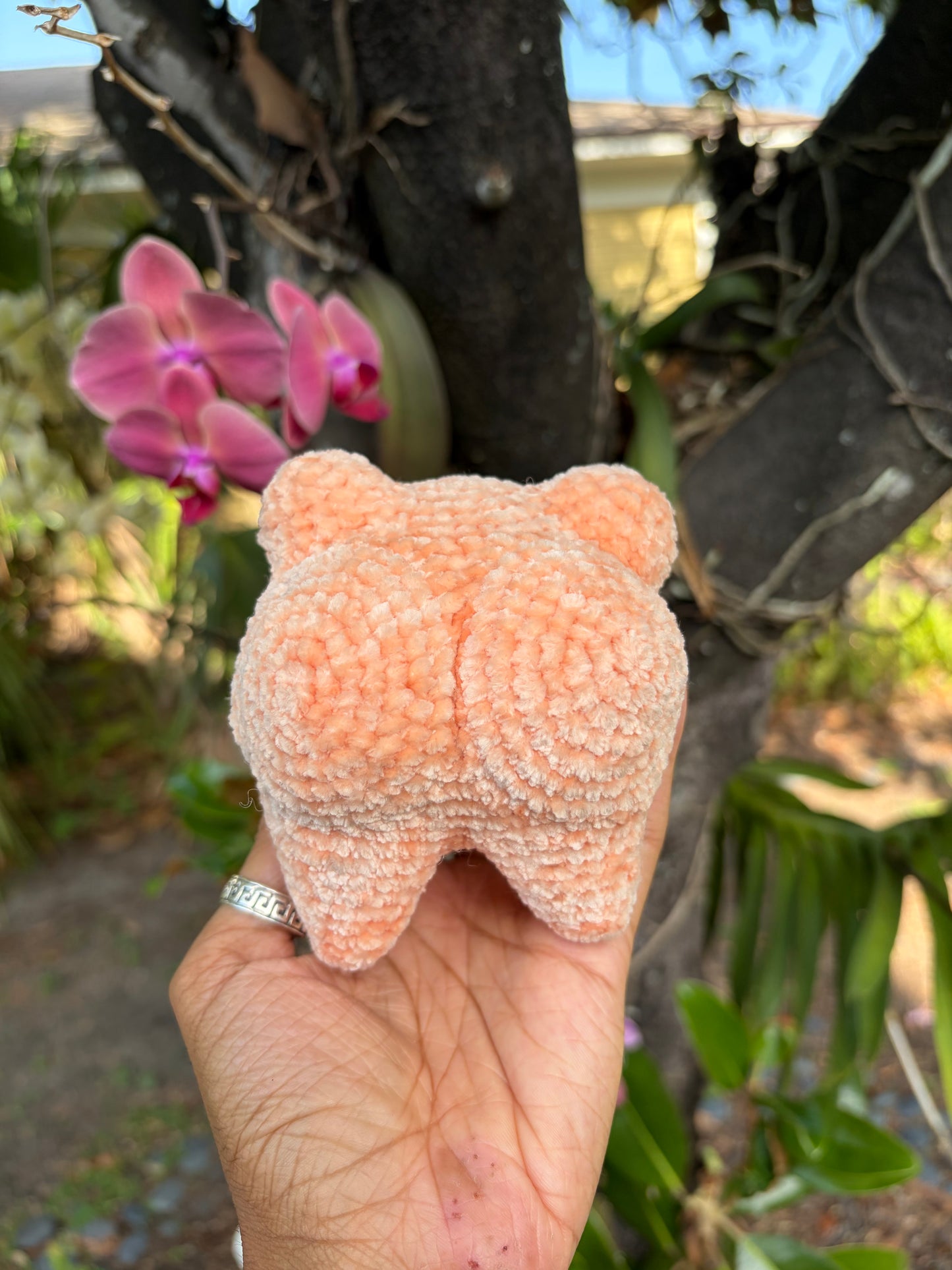 Cantaloupe Baba🍈